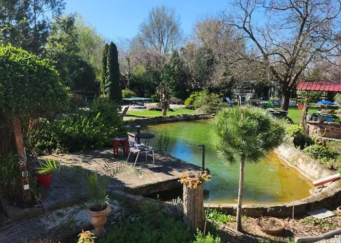 Sarah,s Lejlighed Nikla